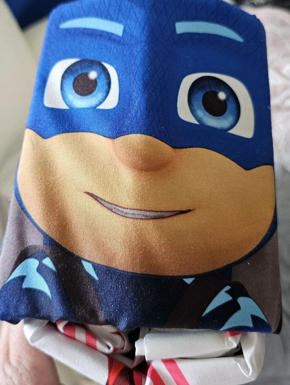 ​PJ Masks 